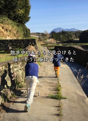 散歩中に駆け寄ってきた