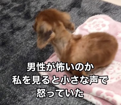 怯えたように顔を背けるネネちゃん