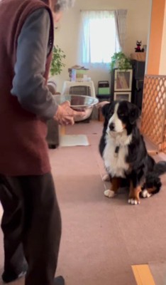 「お利口さんでした」