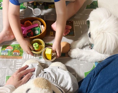 おままごとで遊ぶことも