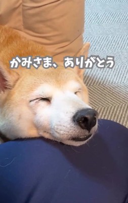 運命の出会いに感動