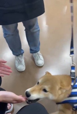 そらくんとの出会いとその後の様子7