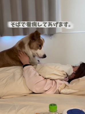 「本当に大丈夫?」