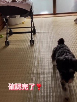 愛あふれる姿にホッコリ