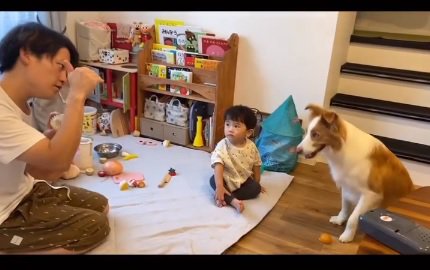 トリックをするパパ