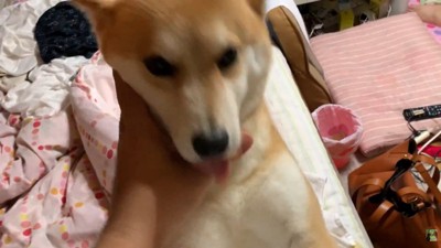 「帰ってきてたの!?おかえり~」