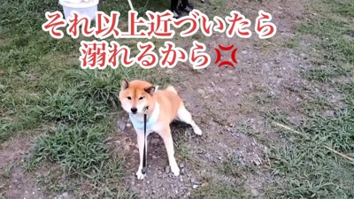 全力で拒否！