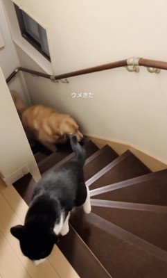 軽やかに2階へ