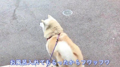 急いで車に飛び乗った
