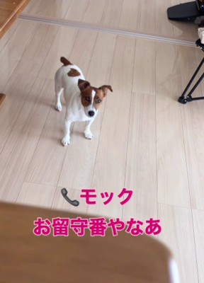 「ちょっと今から行こうかな…」