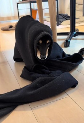 「なんでこんなことに…」