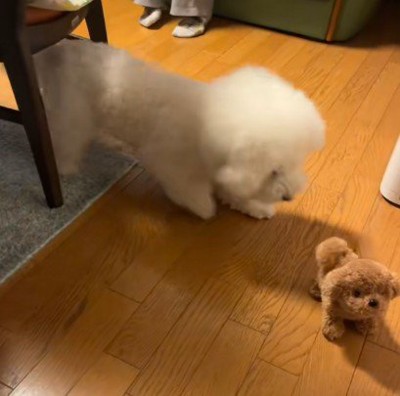 へっぴり腰で様子見