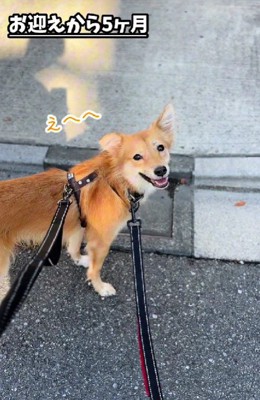 晴れやかな笑顔に!!