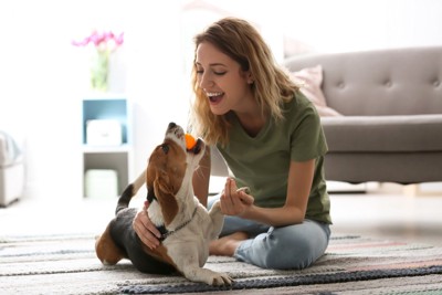 女性とボールで遊んでいる犬