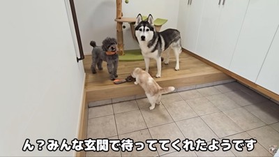 待っていてくれました!