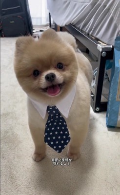 いつでも受け止めてくれる