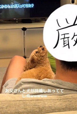 遠吠えするあられちゃん