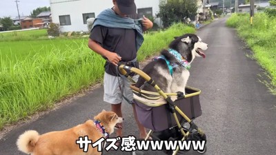 おこめちゃんは大満足