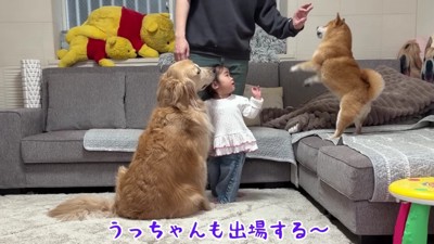 ハイハイレースをやってみよう