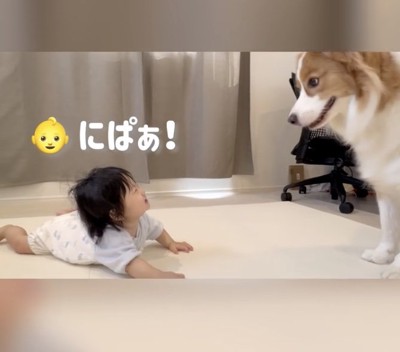 もう一度近くへ