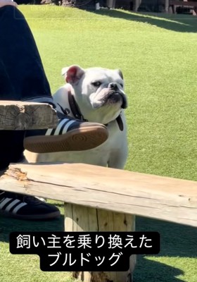 流し目のぱせり君