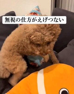 起き上がるアフロくん