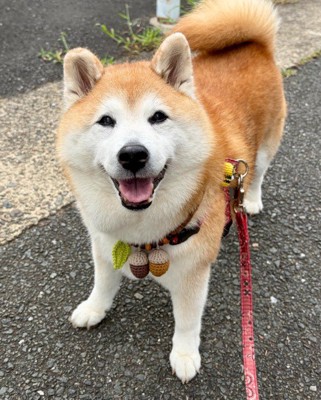 いつでも笑顔なまるちゃんでした♡
