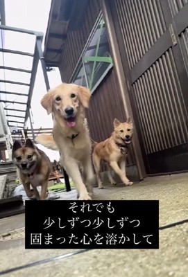 生まれ変わった姿に涙