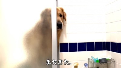 「やっぱりそばにいたい…」