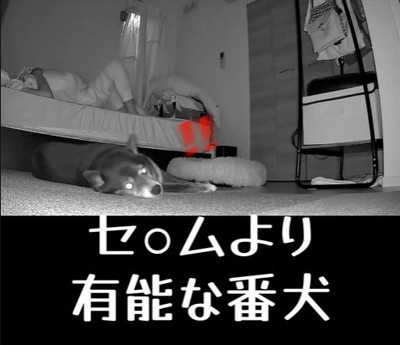 寝返りを打った時のミーシャちゃんの反応2