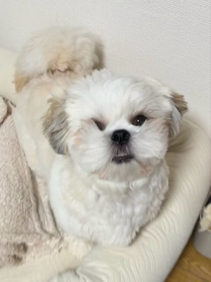 夢中
