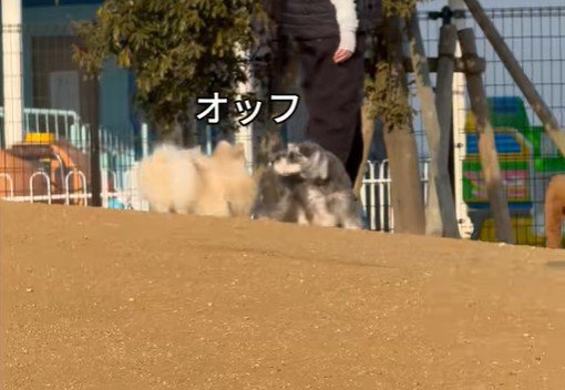 ちょっぴり気まずい…？