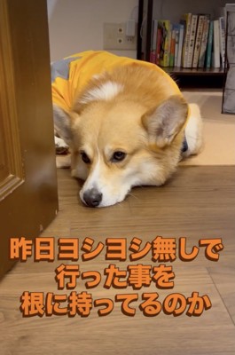 「今日こそは…」