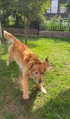 ララちゃんの熱烈歓迎8