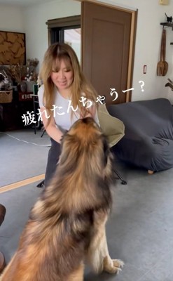 レオンベルガーに声をかけるお姉さん