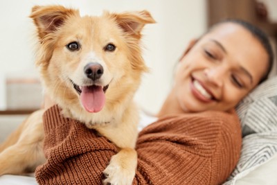 女性の上でくつろぐ犬