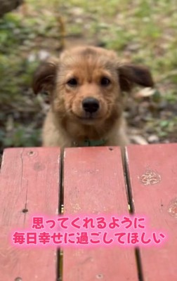 カメラ目線のクルミちゃん