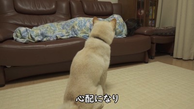 ますます心配になって、しょんぼり…