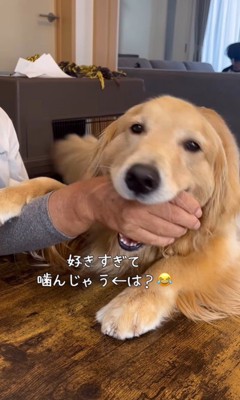 サンちゃんの熱烈歓迎9