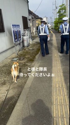 男性の方へ駆け出す犬