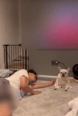 小型犬を撫でる飼い主