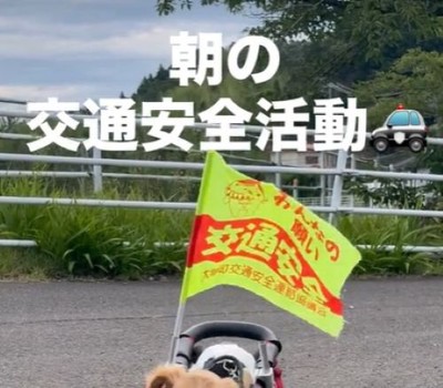 車椅子に交通安全の旗をつけて…