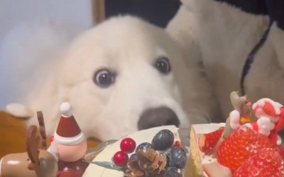 100点満点のリアクション！！