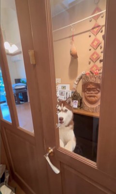 ドアを開けるシンプソンちゃん9