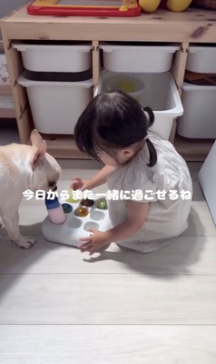 今日からはたくさん一緒に遊べるね