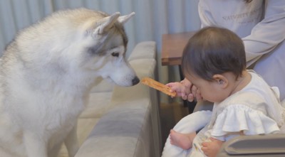 女性に支えられながら、おやつを右手に持つ赤ちゃん