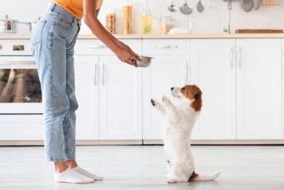 フードボウルを持った女性と犬