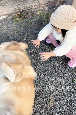 両手を伸ばして…