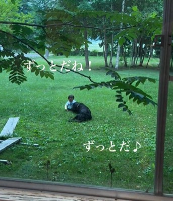 赤ちゃんと黒い犬3