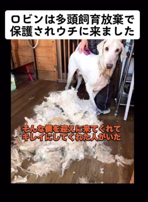 身も心もボロボロな状態に